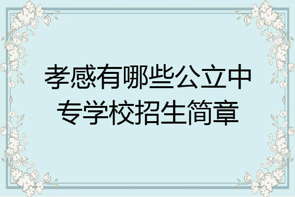 孝感有哪些公立中专学校招生简章