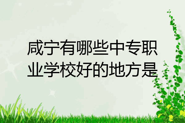 咸宁有哪些中专职业学校好的地方是