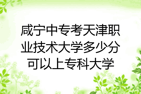 咸宁中专考天津职业技术大学多少分可以上专科大学