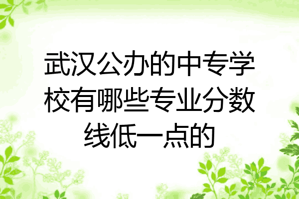 武汉公办的中专学校有哪些专业分数线低一点的
