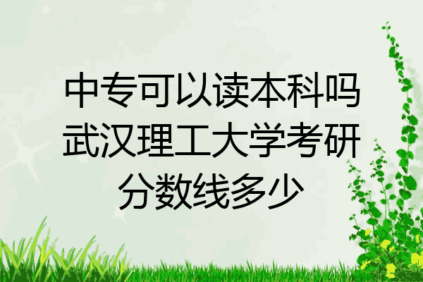 中专可以读本科吗武汉理工大学考研分数线多少