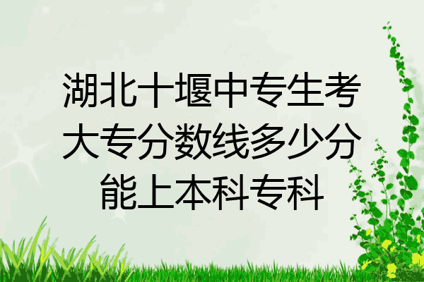 湖北十堰中专生考大专分数线多少分能上本科专科