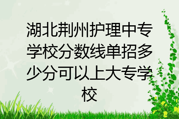 湖北荆州护理中专学校分数线单招多少分可以上大专学校
