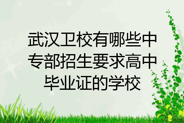 武汉卫校有哪些中专部招生要求高中毕业证的学校