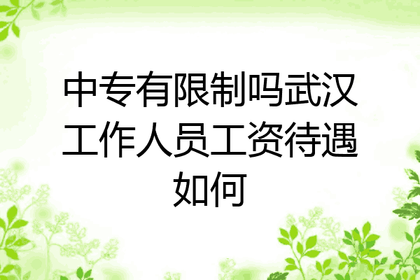 中专有限制吗武汉工作人员工资待遇如何