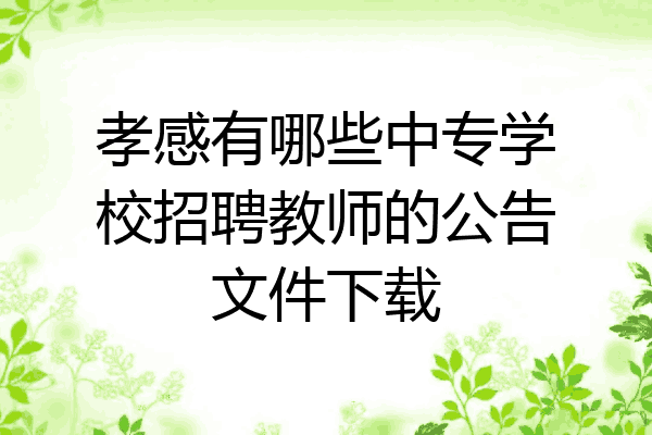 孝感有哪些中专学校招聘教师的公告文件下载