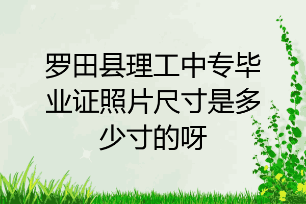 罗田县理工中专毕业证照片尺寸是多少寸的呀