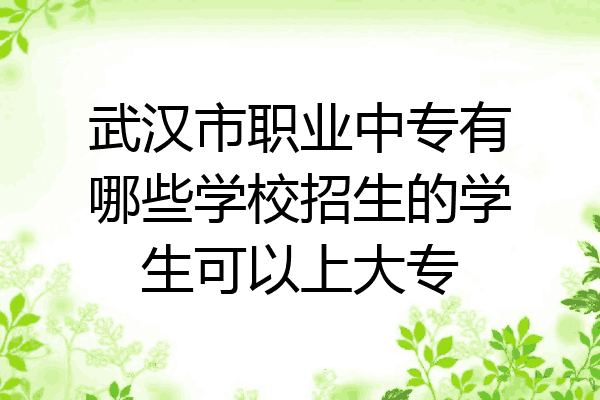 武汉市职业中专有哪些学校招生的学生可以上大专