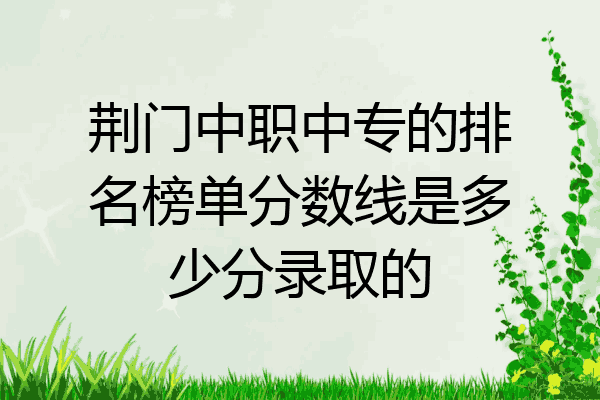 荆门中职中专的排名榜单分数线是多少分录取的