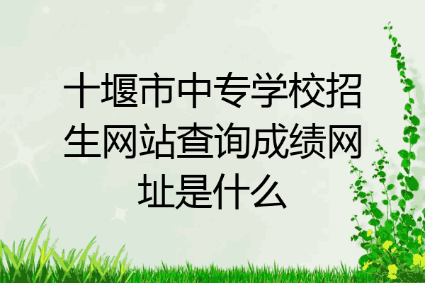 十堰市中专学校招生网站查询成绩网址是什么