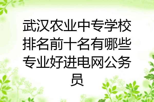 武汉农业中专学校排名前十名有哪些专业好进电网公务员