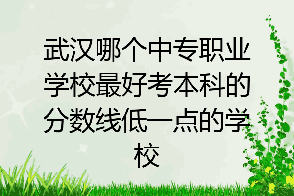武汉哪个中专职业学校最好考本科的分数线低一点的学校