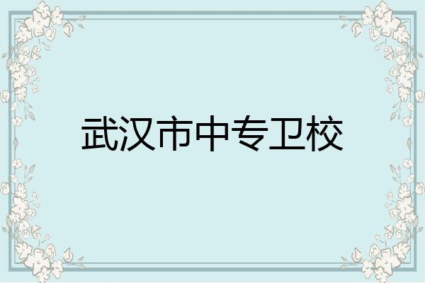 武汉市中专卫校
