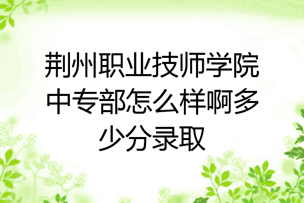 荆州职业技师学院中专部怎么样啊多少分录取