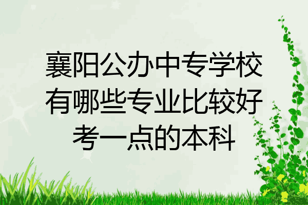 襄阳公办中专学校有哪些专业比较好考一点的本科