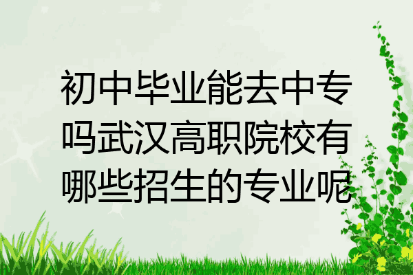 初中毕业能去中专吗武汉高职院校有哪些招生的专业呢
