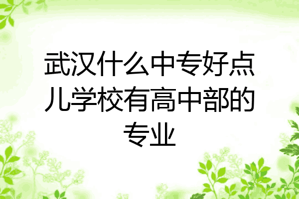 武汉什么中专好点儿学校有高中部的专业