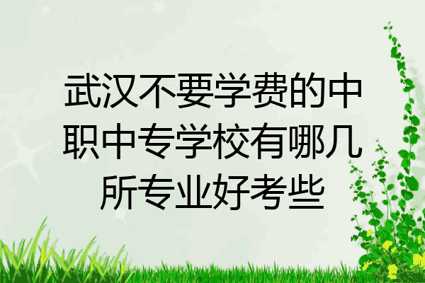 武汉不要学费的中职中专学校有哪几所专业好考些
