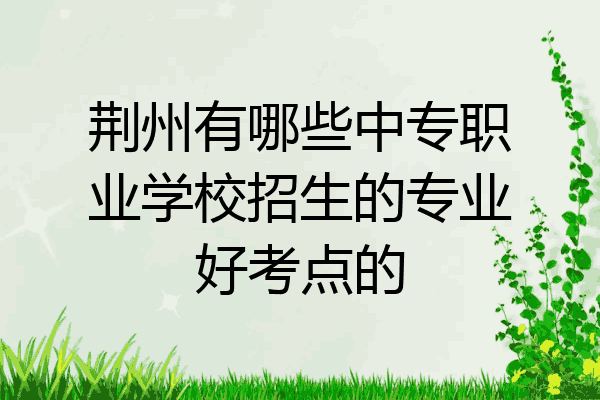 荆州有哪些中专职业学校招生的专业好考点的