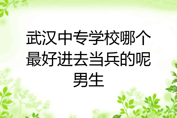 武汉中专学校哪个最好进去当兵的呢男生