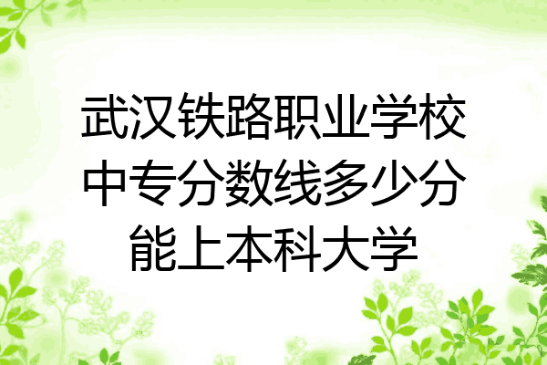 武汉铁路职业学校中专分数线多少分能上本科大学