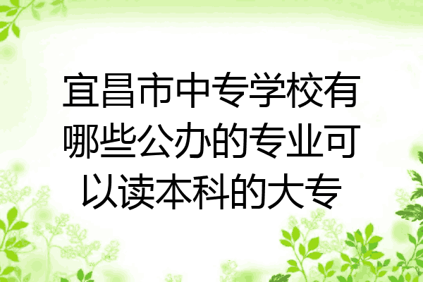 宜昌市中专学校有哪些公办的专业可以读本科的大专