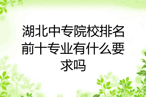 湖北中专院校排名前十专业有什么要求吗