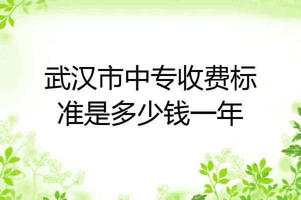 武汉市中专收费标准是多少钱一年