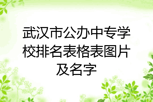 武汉市公办中专学校排名表格表图片及名字