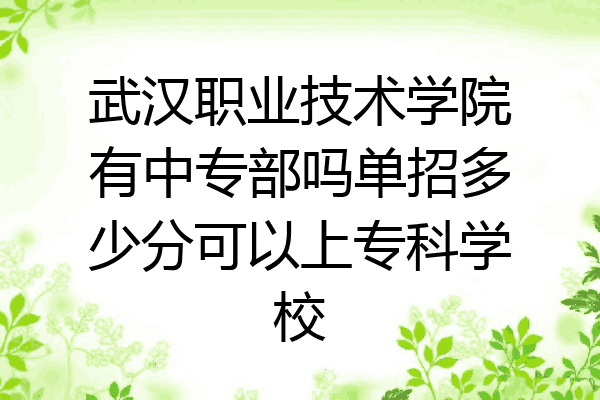 武汉职业技术学院有中专部吗单招多少分可以上专科学校