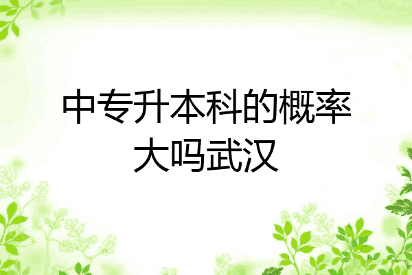 中专升本科的概率大吗武汉