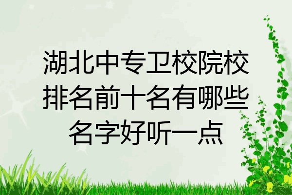 湖北中专卫校院校排名前十名有哪些名字好听一点