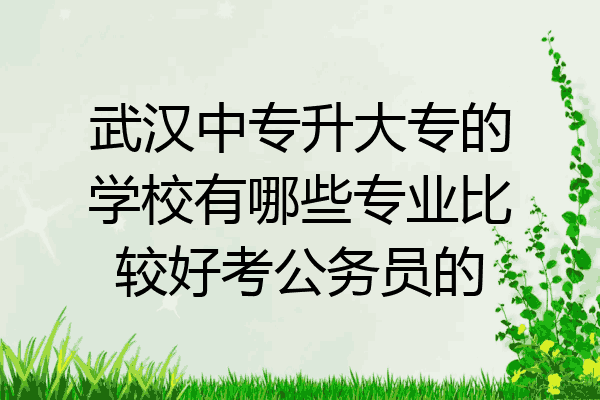 武汉中专升大专的学校有哪些专业比较好考公务员的
