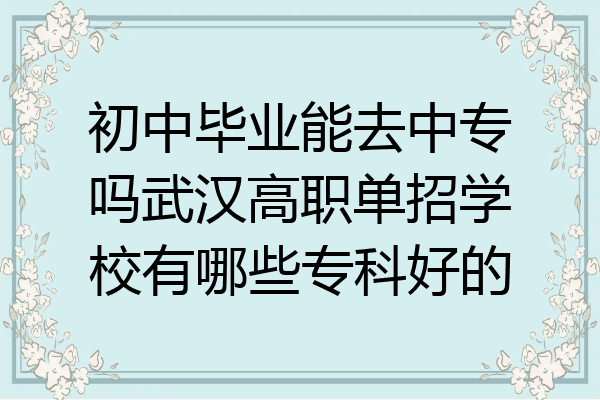 初中毕业能去中专吗武汉高职单招学校有哪些专科好的