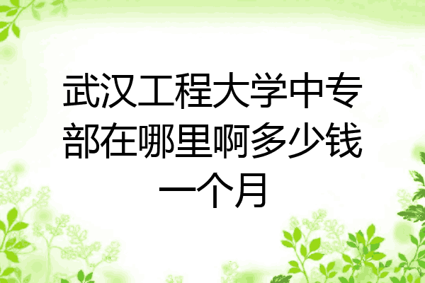 武汉工程大学中专部在哪里啊多少钱一个月