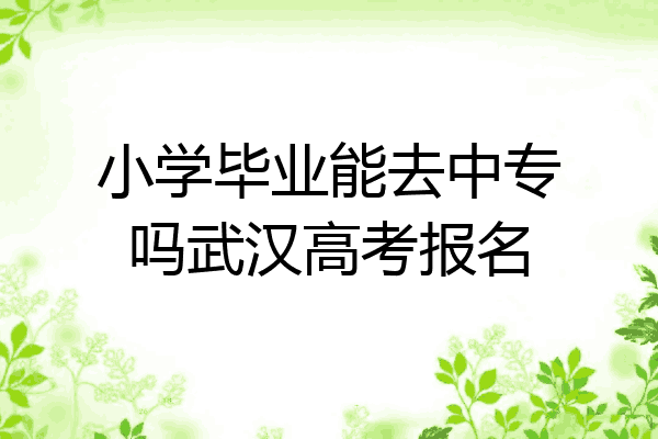 小学毕业能去中专吗武汉高考报名