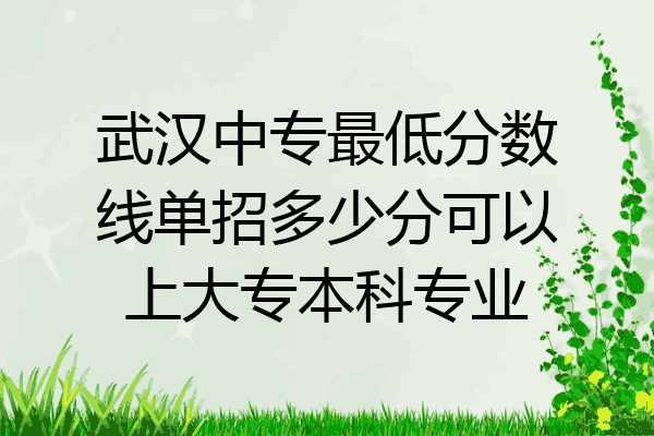 武汉中专最低分数线单招多少分可以上大专本科专业