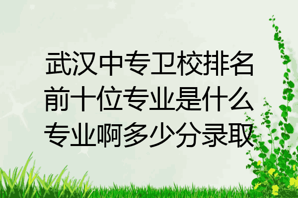 武汉中专卫校排名前十位专业是什么专业啊多少分录取