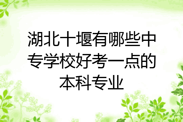 湖北十堰有哪些中专学校好考一点的本科专业