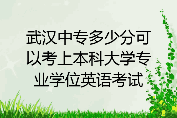 武汉中专多少分可以考上本科大学专业学位英语考试