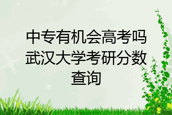 中专有机会高考吗武汉大学考研分数查询