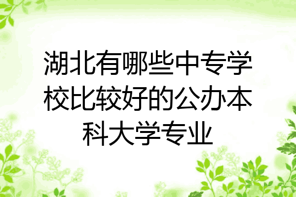 湖北有哪些中专学校比较好的公办本科大学专业