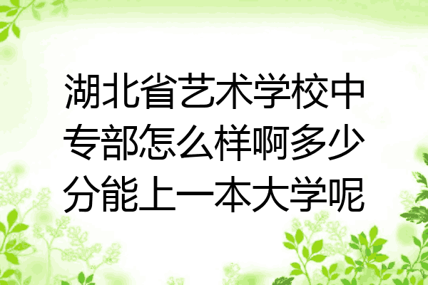 湖北省艺术学校中专部怎么样啊多少分能上一本大学呢