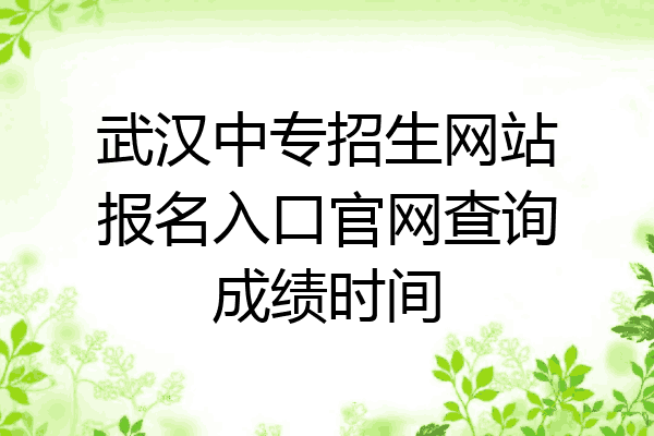 武汉中专招生网站报名入口官网查询成绩时间