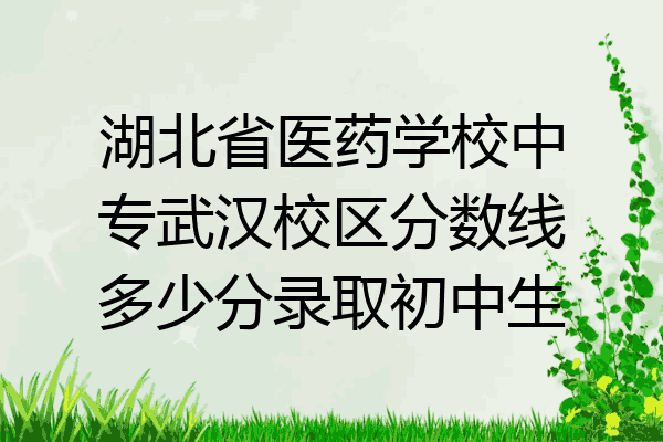 湖北省医药学校中专武汉校区分数线多少分录取初中生