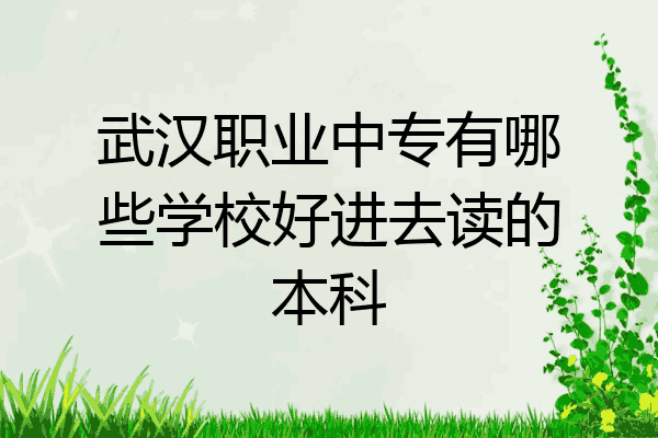 武汉职业中专有哪些学校好进去读的本科