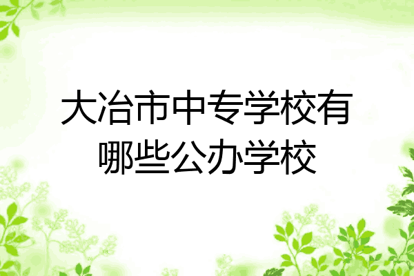 大冶市中专学校有哪些公办学校