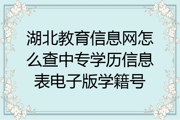 湖北教育信息网怎么查中专学历信息表电子版学籍号