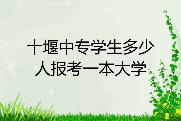 十堰中专学生多少人报考一本大学