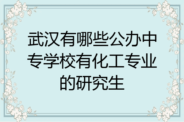 武汉有哪些公办中专学校有化工专业的研究生